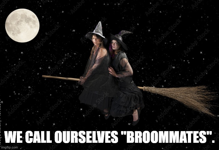 memes by Brad - The 2 witches call each other "broommates" - Halloween | WE CALL OURSELVES "BROOMMATES". | image tagged in funny,cats,halloween,kitten,witches,broom | made w/ Imgflip meme maker