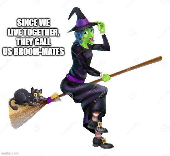 memes by Brad - Cat and witch live together so they are broommates | SINCE WE LIVE TOGETHER, THEY CALL US BROOM-MATES | image tagged in funny,cats,kitten,halloween,witch,humor | made w/ Imgflip meme maker