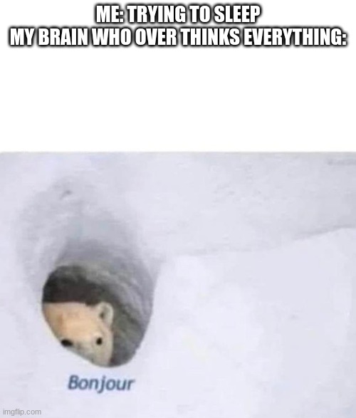 it sucks :( | ME: TRYING TO SLEEP
MY BRAIN WHO OVER THINKS EVERYTHING: | image tagged in bonjour,meme | made w/ Imgflip meme maker