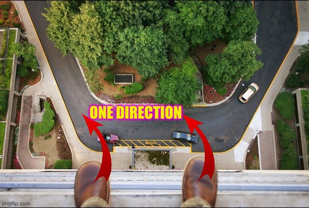 ONE DIRECTION | image tagged in vertigo balcony | made w/ Imgflip meme maker