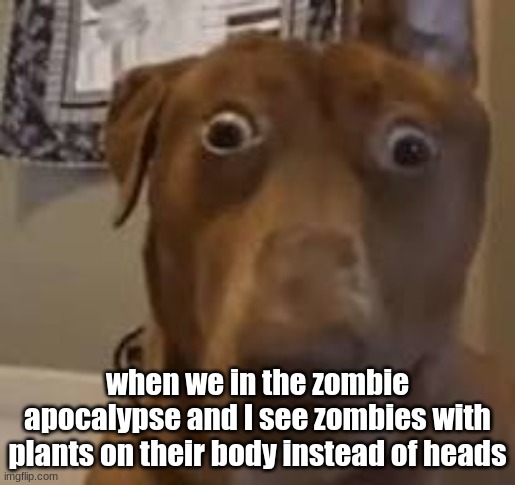 zombotany | when we in the zombie apocalypse and I see zombies with plants on their body instead of heads | made w/ Imgflip meme maker