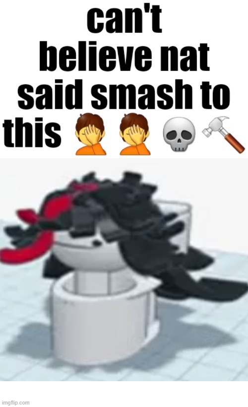 Can’t believe nat said smash to this | image tagged in can t believe nat said smash to this | made w/ Imgflip meme maker