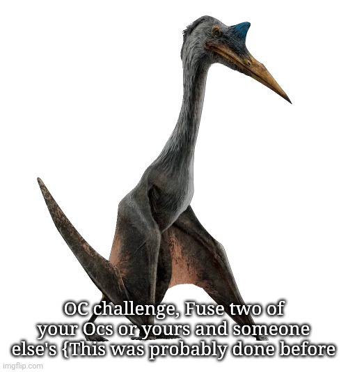 Quetzalcoatlus | OC challenge, Fuse two of your Ocs or yours and someone else's {This was probably done before | image tagged in quetzalcoatlus | made w/ Imgflip meme maker