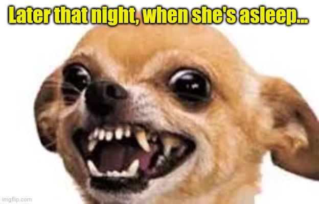 mad dog | Later that night, when she's asleep... | image tagged in mad dog | made w/ Imgflip meme maker