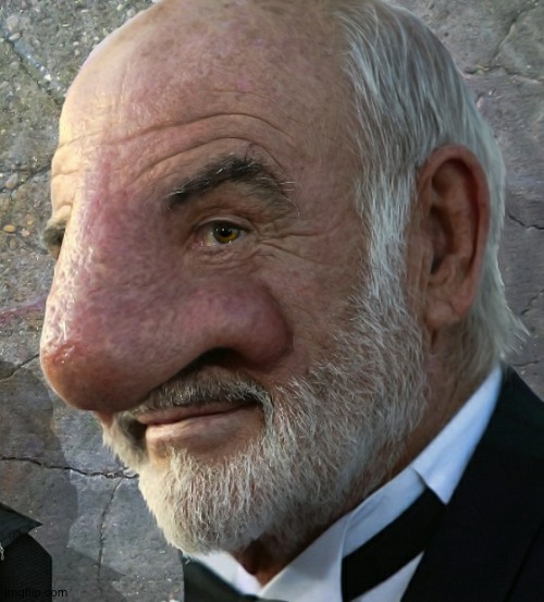 Connery big nose | image tagged in connery big nose | made w/ Imgflip meme maker