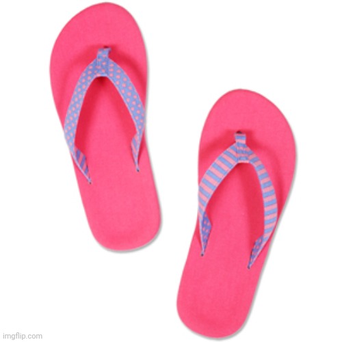 Don't tell me how to live my life flip flops | image tagged in don't tell me how to live my life flip flops | made w/ Imgflip meme maker