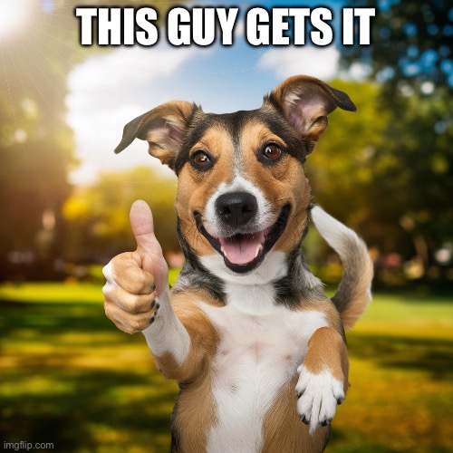 A.I dog giving thumbs up | THIS GUY GETS IT | image tagged in a i dog giving thumbs up | made w/ Imgflip meme maker