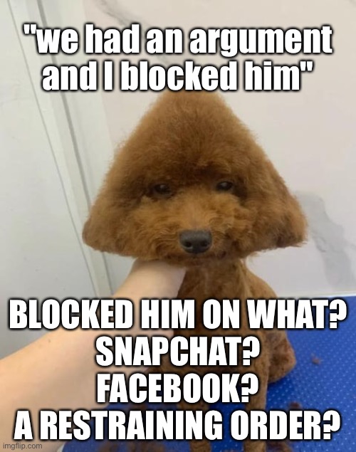 "we had an argument and I blocked him"; BLOCKED HIM ON WHAT?
SNAPCHAT? FACEBOOK? A RESTRAINING ORDER? | made w/ Imgflip meme maker