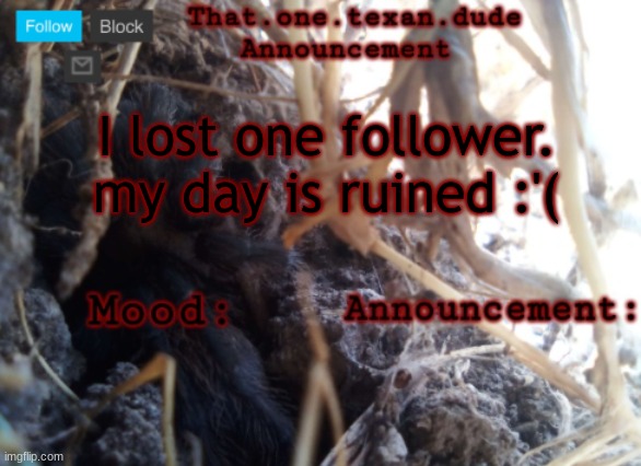 THE that.one.texan.dude announcement template | I lost one follower. my day is ruined :'( | image tagged in the that one texan dude announcement template | made w/ Imgflip meme maker