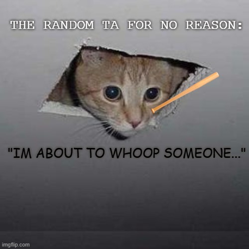 I don't know if this is relatable or not. | THE RANDOM TA FOR NO REASON:; "IM ABOUT TO WHOOP SOMEONE..." | image tagged in memes,ceiling cat,unhelpful teacher,bruh,relatable memes | made w/ Imgflip meme maker