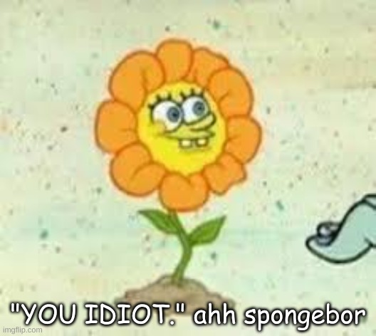 flowey | "YOU IDIOT." ahh spongebor | image tagged in flowey | made w/ Imgflip meme maker