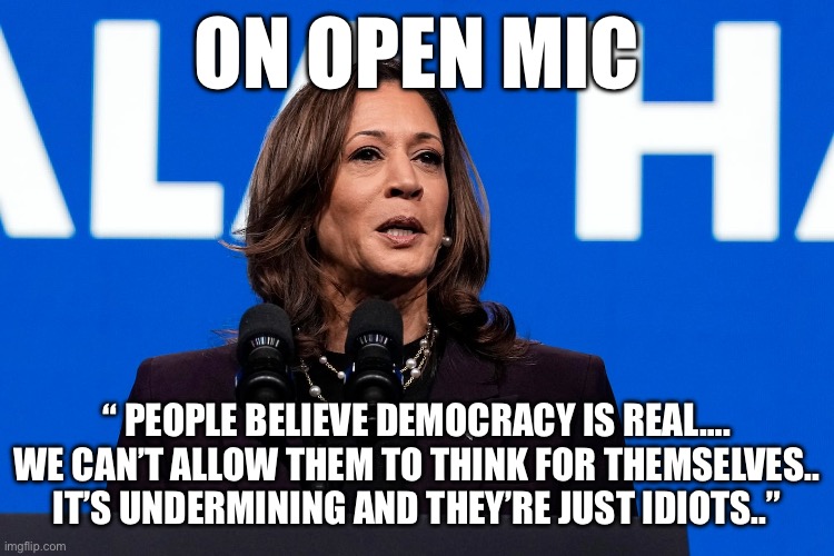 Kammy on open mic | ON OPEN MIC; “ PEOPLE BELIEVE DEMOCRACY IS REAL…. WE CAN’T ALLOW THEM TO THINK FOR THEMSELVES.. IT’S UNDERMINING AND THEY’RE JUST IDIOTS..” | image tagged in kammy,funny,memes,gifs | made w/ Imgflip meme maker