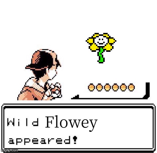 Blank Wild Pokemon Appears | Flowey | image tagged in blank wild pokemon appears | made w/ Imgflip meme maker