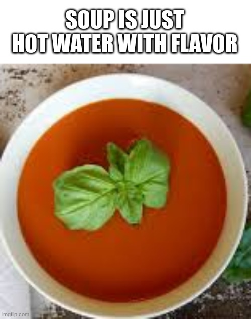 yummy | SOUP IS JUST HOT WATER WITH FLAVOR | image tagged in meme | made w/ Imgflip meme maker