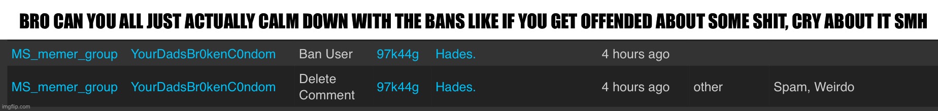 Vro half the stuff I see in mod logs are bs | BRO CAN YOU ALL JUST ACTUALLY CALM DOWN WITH THE BANS LIKE IF YOU GET OFFENDED ABOUT SOME SHIT, CRY ABOUT IT SMH | made w/ Imgflip meme maker