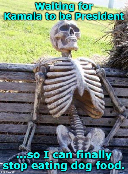 Waiting for Kamala to be President ...so I can finally stop eating dog food. | image tagged in memes,waiting skeleton | made w/ Imgflip meme maker