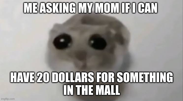 SAD | ME ASKING MY MOM IF I CAN; HAVE 20 DOLLARS FOR SOMETHING
IN THE MALL | image tagged in sad hamster | made w/ Imgflip meme maker