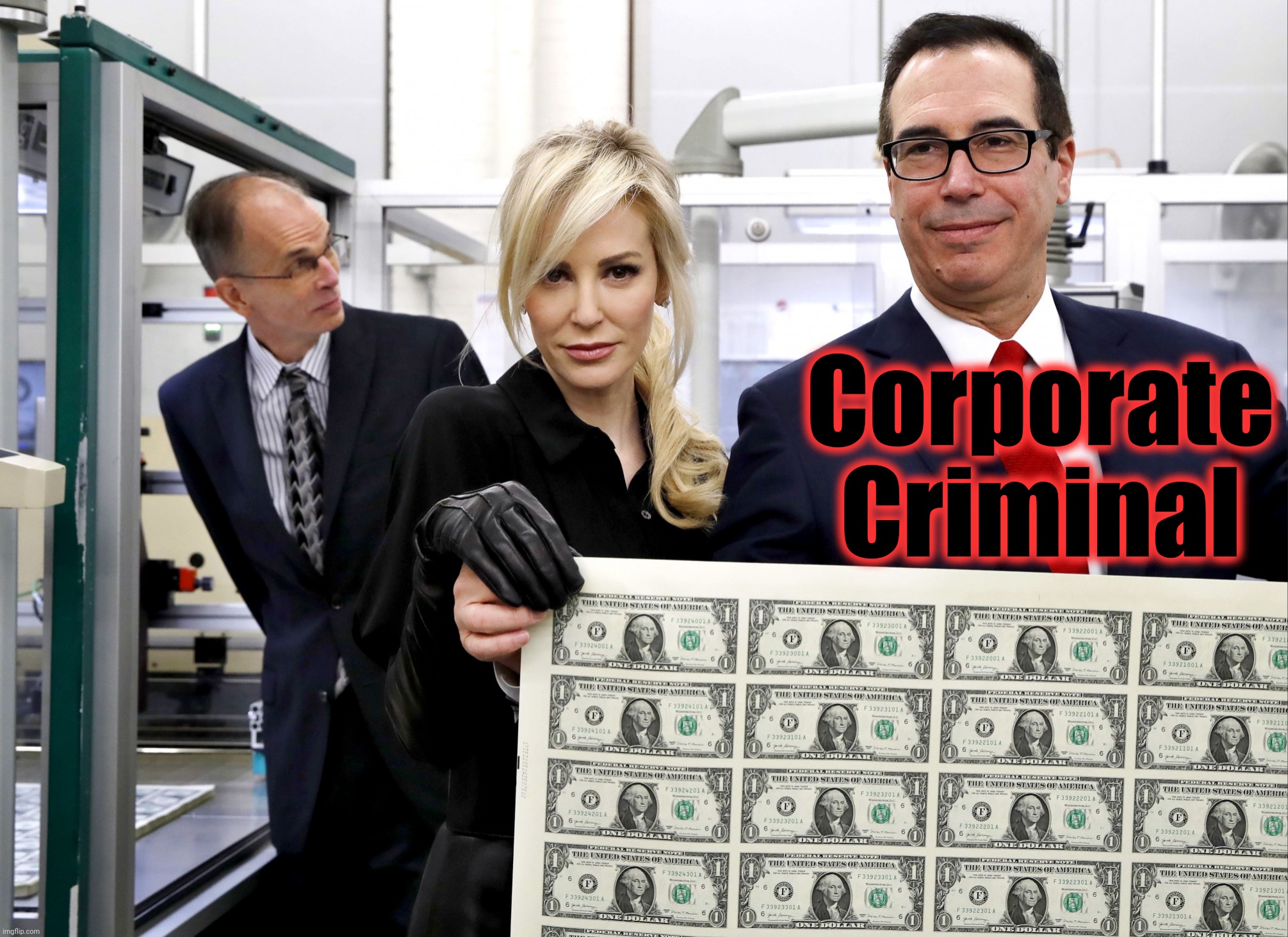 Louise Linton And Steve Mnuchin At Treasury with sheet of Money | Corporate Criminal | image tagged in louise linton and steve mnuchin at treasury with sheet of money | made w/ Imgflip meme maker