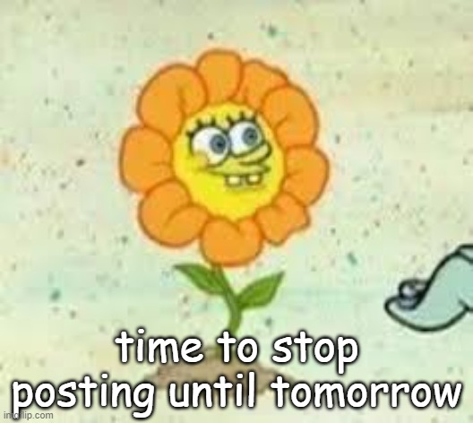 flowey | time to stop posting until tomorrow | image tagged in flowey | made w/ Imgflip meme maker