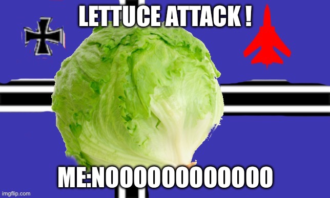 Lettuce empire flag | LETTUCE ATTACK ! ME:NOOOOOOOOOOOO | image tagged in lettuce empire flag | made w/ Imgflip meme maker