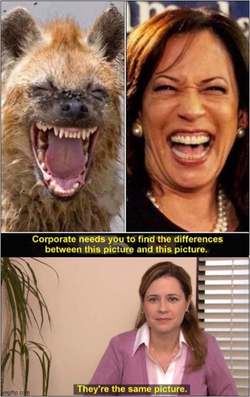 Separated At Birth ? | image tagged in hyena,kamala harris,corporate needs you to find the differences | made w/ Imgflip meme maker