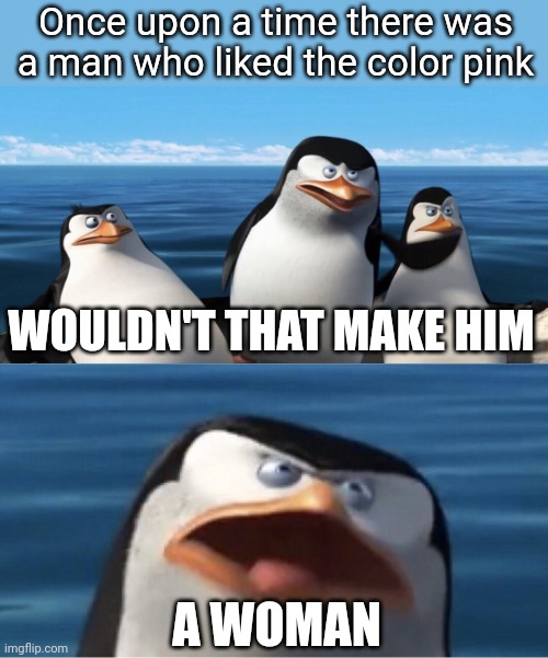 What is a woman | Once upon a time there was a man who liked the color pink; WOULDN'T THAT MAKE HIM; A WOMAN | image tagged in wouldn't that make you,penguins of madagascar | made w/ Imgflip meme maker