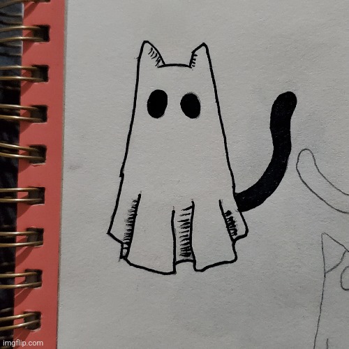 Ghost cat :3 | made w/ Imgflip meme maker