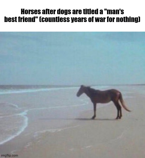 Man | Horses after dogs are titled a "man's best friend" (countless years of war for nothing) | image tagged in man horse water | made w/ Imgflip meme maker