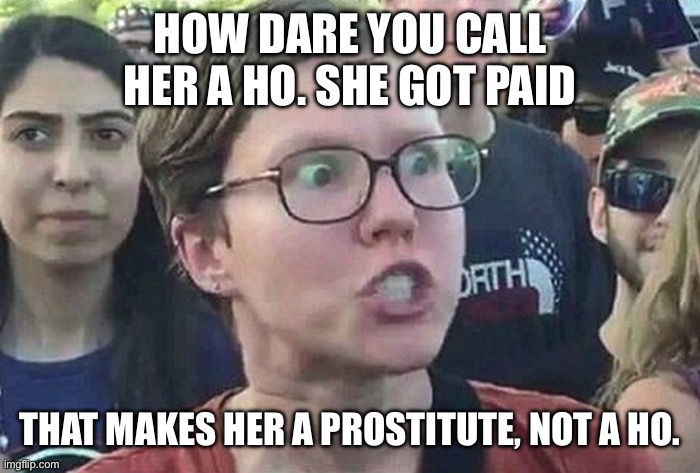 Triggered Liberal | HOW DARE YOU CALL HER A HO. SHE GOT PAID; THAT MAKES HER A PROSTITUTE, NOT A HO. | image tagged in triggered liberal | made w/ Imgflip meme maker