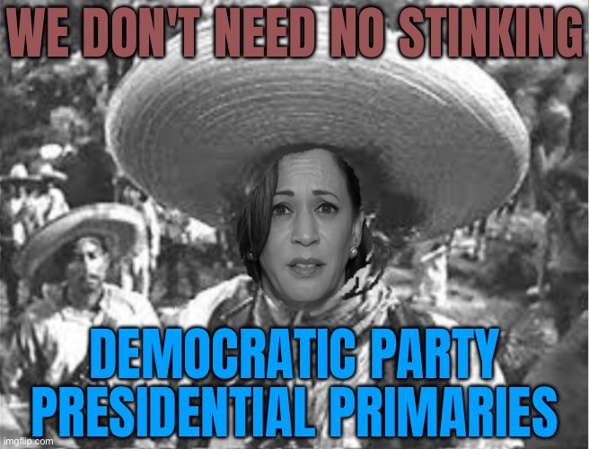 We Don't Need No Stinking Democratic Party Presidential Primaries | WE DON'T NEED NO STINKING; DEMOCRATIC PARTY PRESIDENTIAL PRIMARIES | image tagged in we don't need no stinking badges,crying democrats,kamala harris,democrats,democratic socialism,liberalism | made w/ Imgflip meme maker