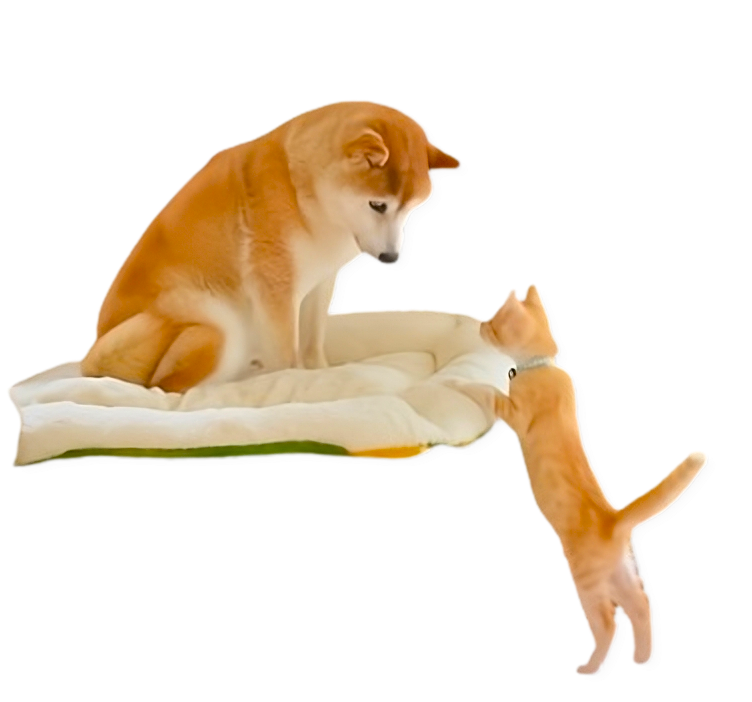 doge and mugi Blank Meme Template