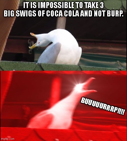 CocaCola Burp | IT IS IMPOSSIBLE TO TAKE 3 BIG SWIGS OF COCA COLA AND NOT BURP. BUUUUURRRP!!!! | image tagged in screaming seagull | made w/ Imgflip meme maker