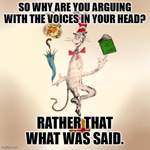 Too many people have this problem. | SO WHY ARE YOU ARGUING WITH THE VOICES IN YOUR HEAD? RATHER THAT WHAT WAS SAID. | image tagged in dr suess rhyme,strawman,master debater | made w/ Imgflip meme maker