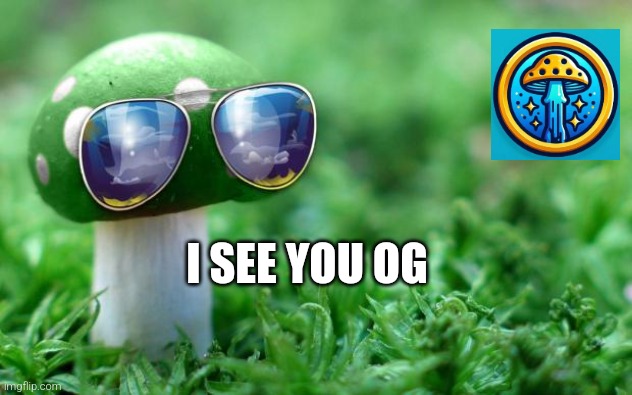 Deal With it Mushroom | I SEE YOU OG | image tagged in deal with it mushroom | made w/ Imgflip meme maker