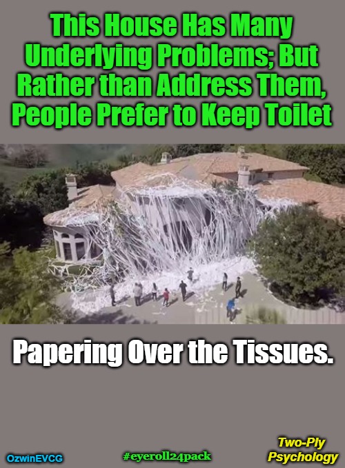 [2V] Two-Ply Psychology [V2] | This House Has Many 

Underlying Problems; But 

Rather than Address Them, 

People Prefer to Keep Toilet; Papering Over the Tissues. Two-Ply 

Psychology; #eyeroll24pack; OzwinEVCG | image tagged in toilet paper,house,punning amok,psychologist,group projects,problems and solutions | made w/ Imgflip meme maker