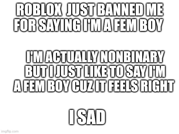 Sad | ROBLOX  JUST BANNED ME FOR SAYING I'M A FEM BOY; I'M ACTUALLY NONBINARY BUT I JUST LIKE TO SAY I'M A FEM BOY CUZ IT FEELS RIGHT; I SAD | made w/ Imgflip meme maker