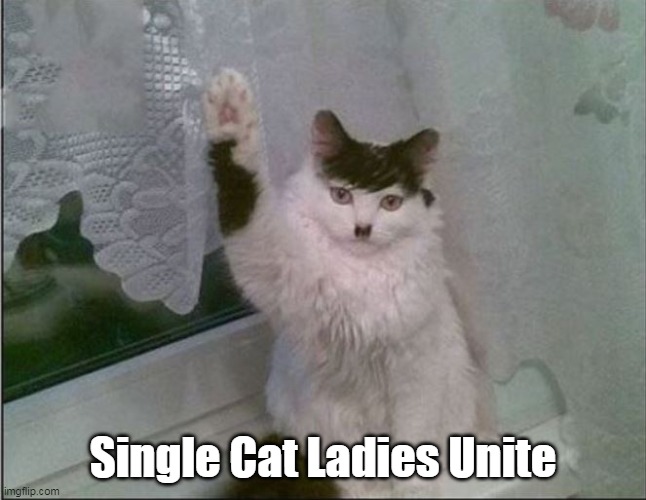 Single Cat Ladies Unite | made w/ Imgflip meme maker