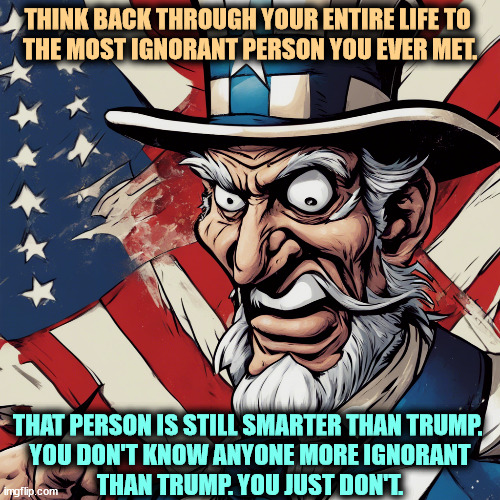 Not only ignorant, but completely lacking in curiosity, so he never gets better. | THINK BACK THROUGH YOUR ENTIRE LIFE TO 

THE MOST IGNORANT PERSON YOU EVER MET. THAT PERSON IS STILL SMARTER THAN TRUMP. 

YOU DON'T KNOW ANYONE MORE IGNORANT
THAN TRUMP. YOU JUST DON'T. | image tagged in trump,ignorant,stupid,idiotic,foolish | made w/ Imgflip meme maker