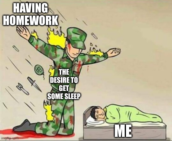 I hate having homework don't you | HAVING HOMEWORK; THE DESIRE TO GET SOME SLEEP; ME | image tagged in soldier protecting sleeping child,homework,bruh,sleep,desire,me | made w/ Imgflip meme maker