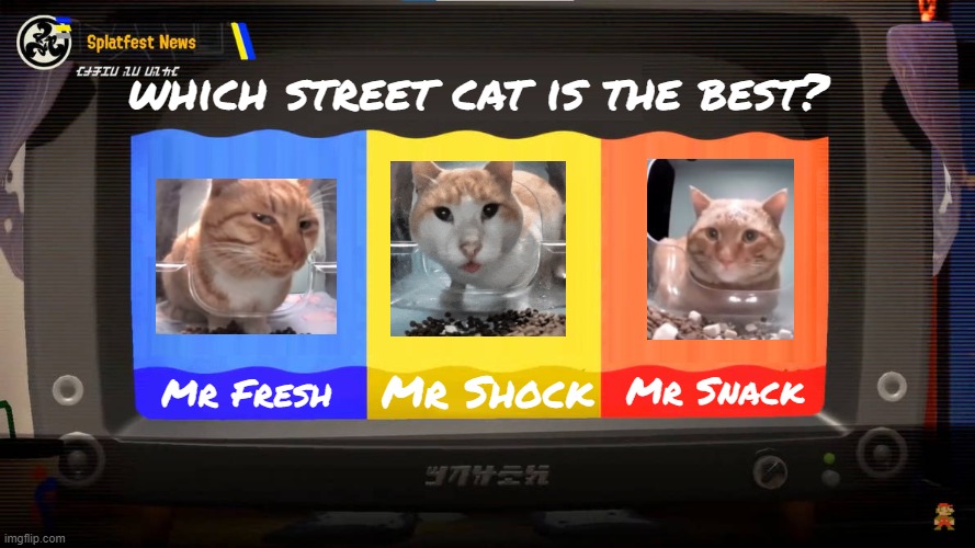this splatfest gonna be lie :fire: :fire: :fire: | which street cat is the best? Mr Shock; Mr Snack; Mr Fresh | image tagged in splatoon 3 splatfest | made w/ Imgflip meme maker