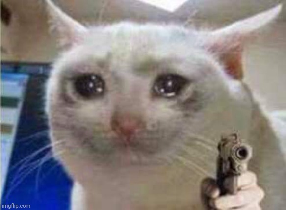 Sad cat with gun | image tagged in sad cat with gun | made w/ Imgflip meme maker