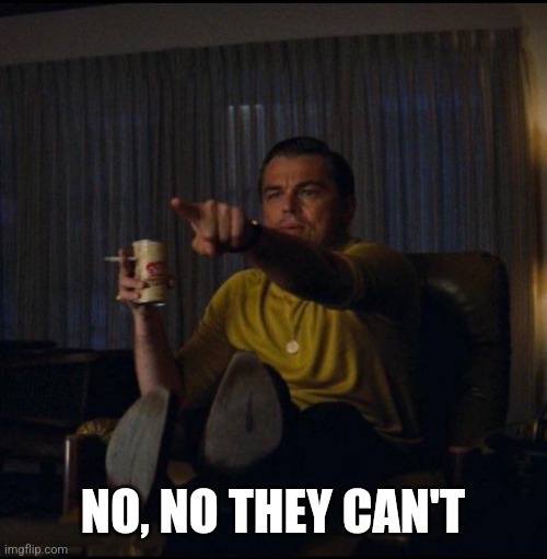 Leonardo DiCaprio Pointing | NO, NO THEY CAN'T | image tagged in leonardo dicaprio pointing | made w/ Imgflip meme maker