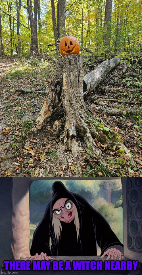 A PUMPKIN IN THE FOREST | THERE MAY BE A WITCH NEARBY | image tagged in wicked witch evil queen disney snow white,forest,pumpkin,woods,spooktober | made w/ Imgflip meme maker