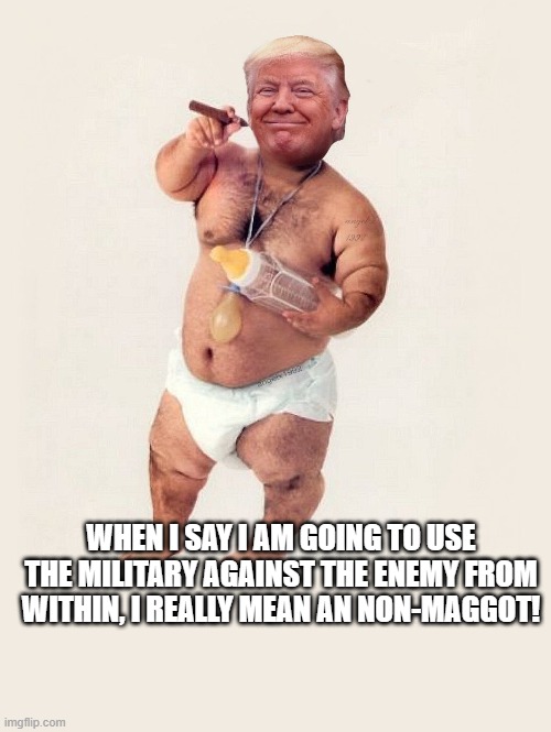 dementia, diapered donnie, fascist, dictator day one | WHEN I SAY I AM GOING TO USE THE MILITARY AGAINST THE ENEMY FROM WITHIN, I REALLY MEAN AN NON-MAGGOT! | image tagged in diaper donny | made w/ Imgflip meme maker