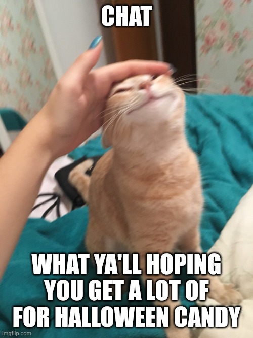 I want alot of almond joys | CHAT; WHAT YA'LL HOPING YOU GET A LOT OF FOR HALLOWEEN CANDY | image tagged in cat pat | made w/ Imgflip meme maker