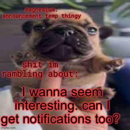 pug temp | I wanna seem interesting. can I get notifications too? | image tagged in pug temp | made w/ Imgflip meme maker