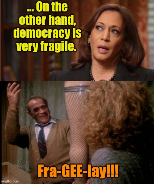 Maybe she's part Italian, too? | ... On the other hand, democracy is very fragile. Fra-GEE-lay!!! | image tagged in kamala harris,christmas story lamp | made w/ Imgflip meme maker