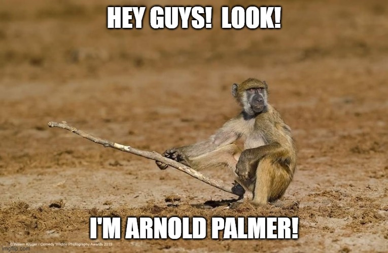 Arnold Palmer | HEY GUYS!  LOOK! I'M ARNOLD PALMER! | image tagged in arnold palmer,trump,maga | made w/ Imgflip meme maker