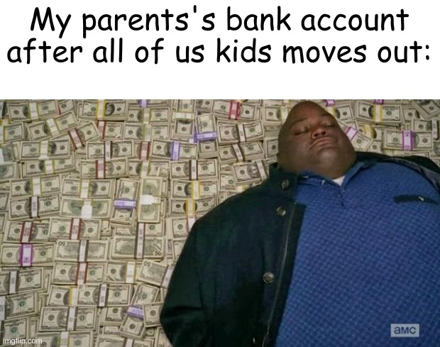 haha I don't have to pay anything | My parents's bank account after all of us kids moves out: | image tagged in huell money | made w/ Imgflip meme maker