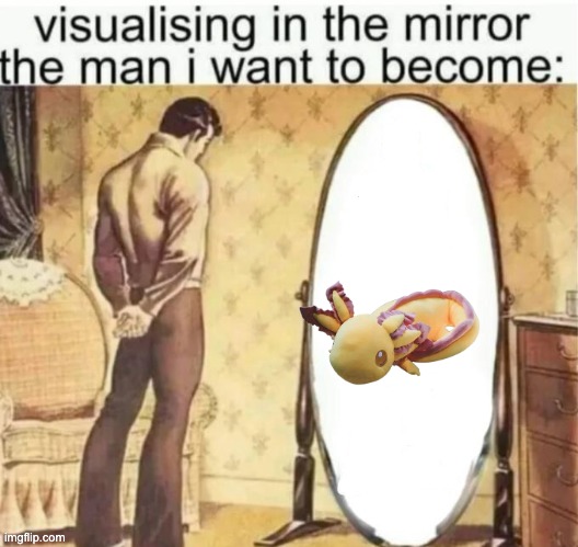 Visualising in the mirror the man i want to become: | image tagged in visualising in the mirror the man i want to become | made w/ Imgflip meme maker